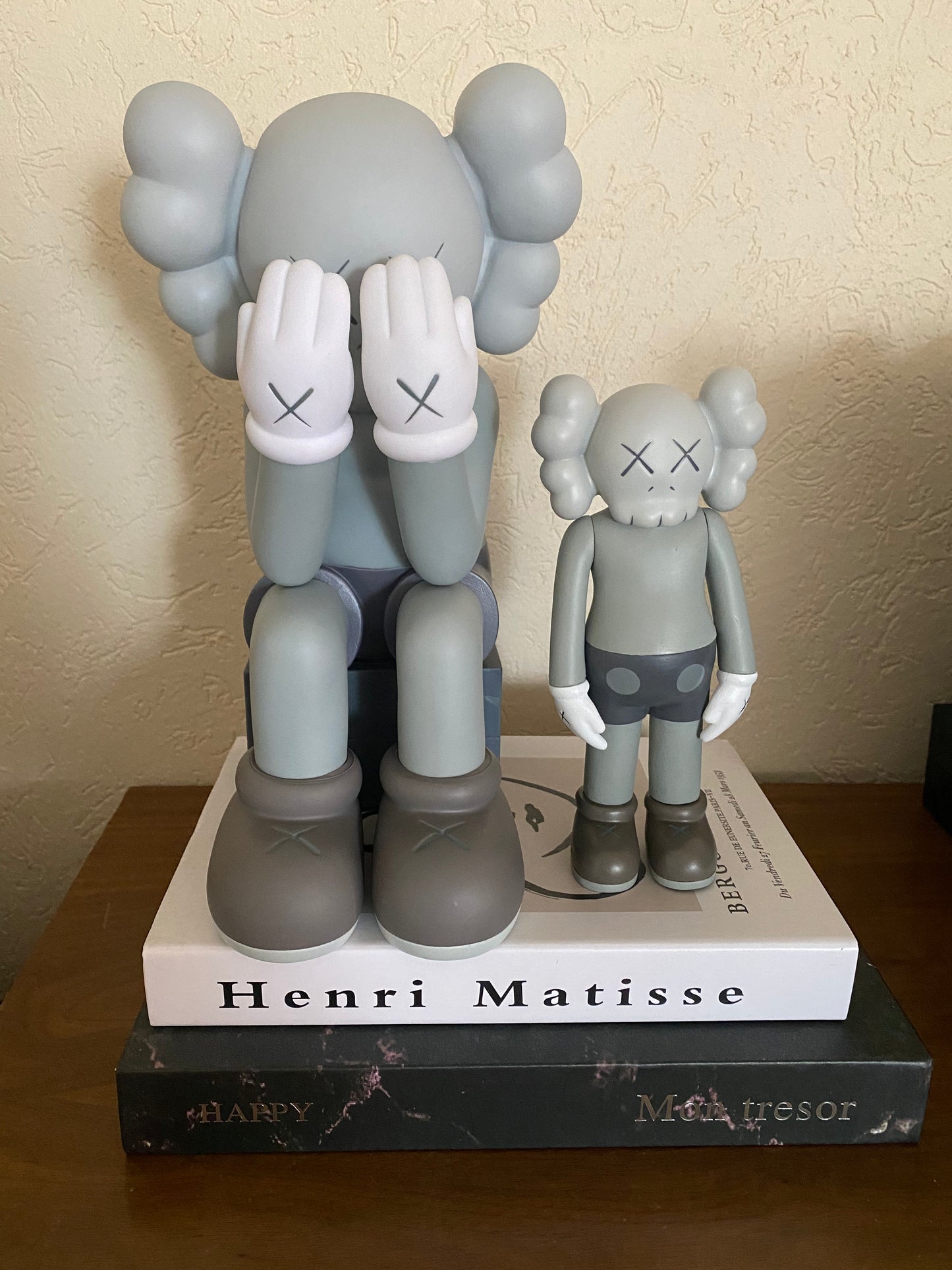 Kaws Shy